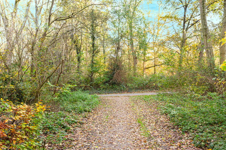 Foto 34 van Spreeuwenstraat 241