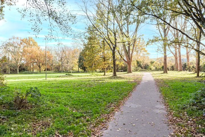 Foto 35 van Spreeuwenstraat 241