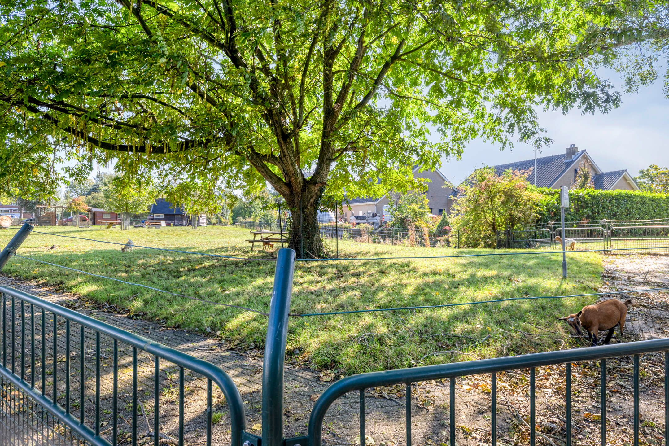 Foto 48 van Den Tollstraat 38