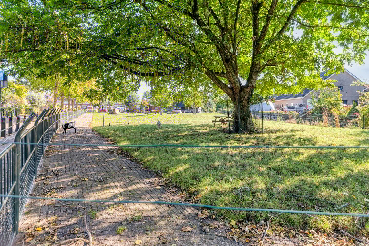 Foto 49 van Den Tollstraat 38