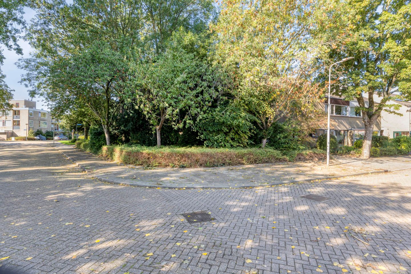 Foto 50 van Den Tollstraat 38