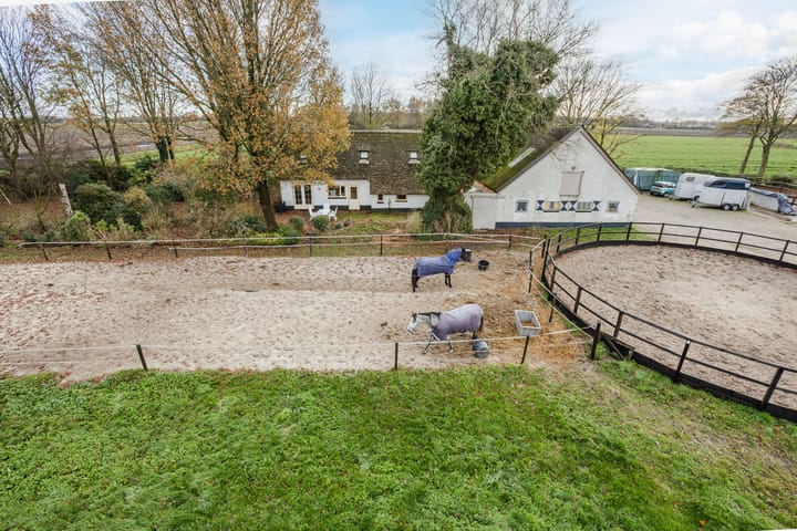 Otterswijk 8 main image