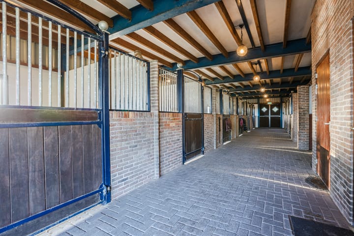 Foto 41 van Otterswijk 8