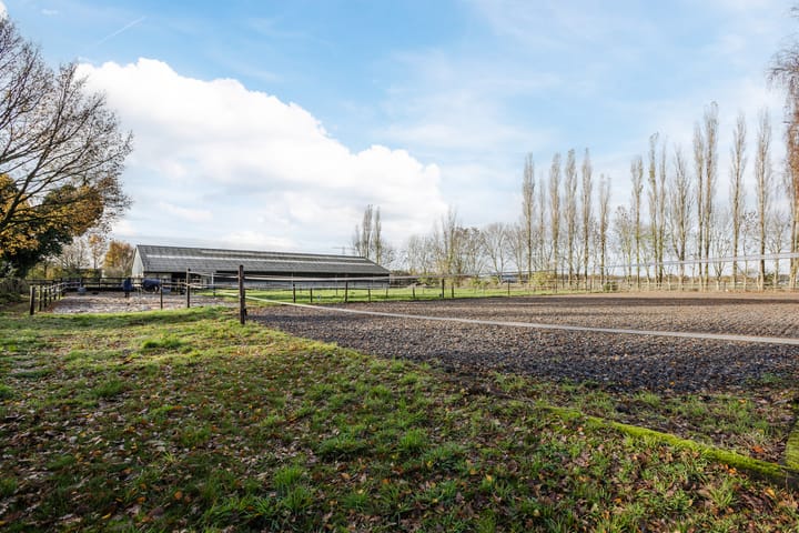 Foto 70 van Otterswijk 8