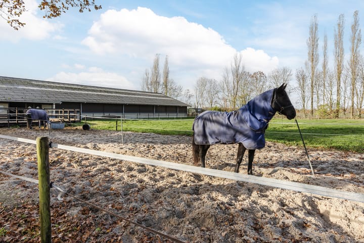 Foto 75 van Otterswijk 8