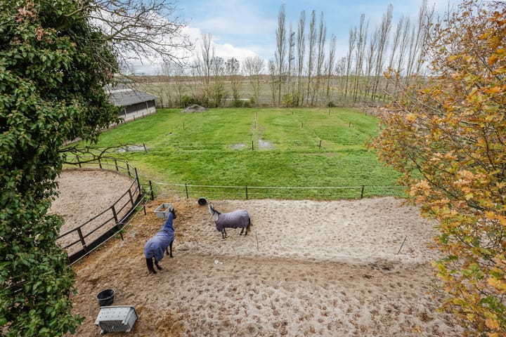 Foto 77 van Otterswijk 8