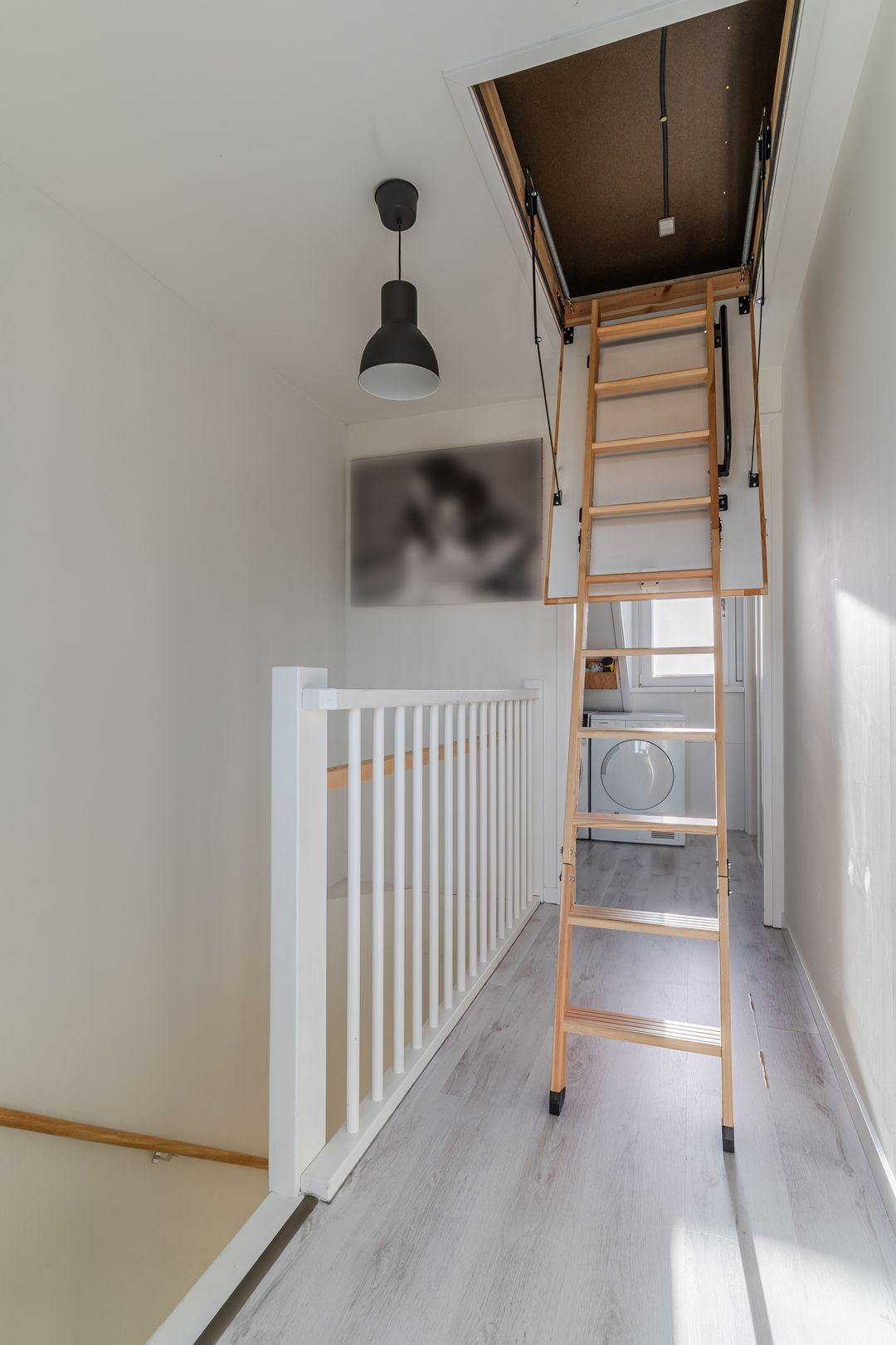 Foto 32 van Groenland 25