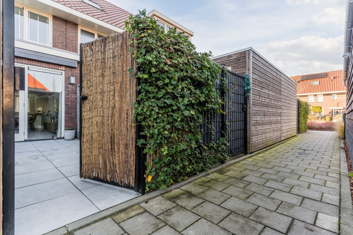 Foto 35 van Groenland 25