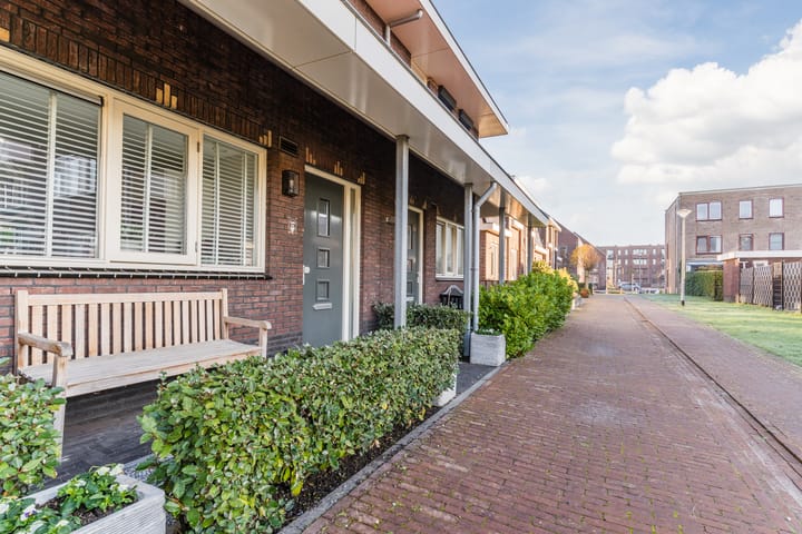 Foto 42 van Groenland 25