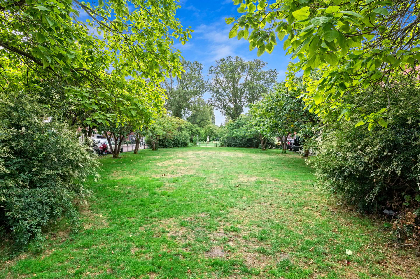 Foto 34 van Elise van Calcarstraat 49