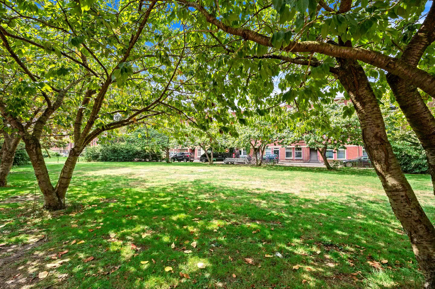 Foto 35 van Elise van Calcarstraat 49