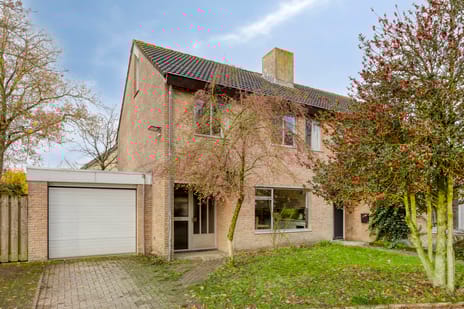 undefined main image