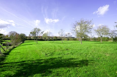 Terzieterweg 20 tertiary image