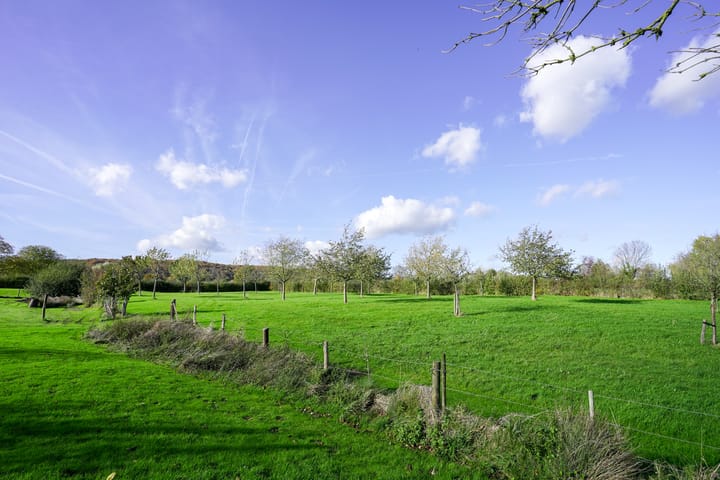 Foto 46 van Terzieterweg 20