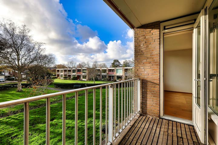 Foto 7 van De Rekere 43