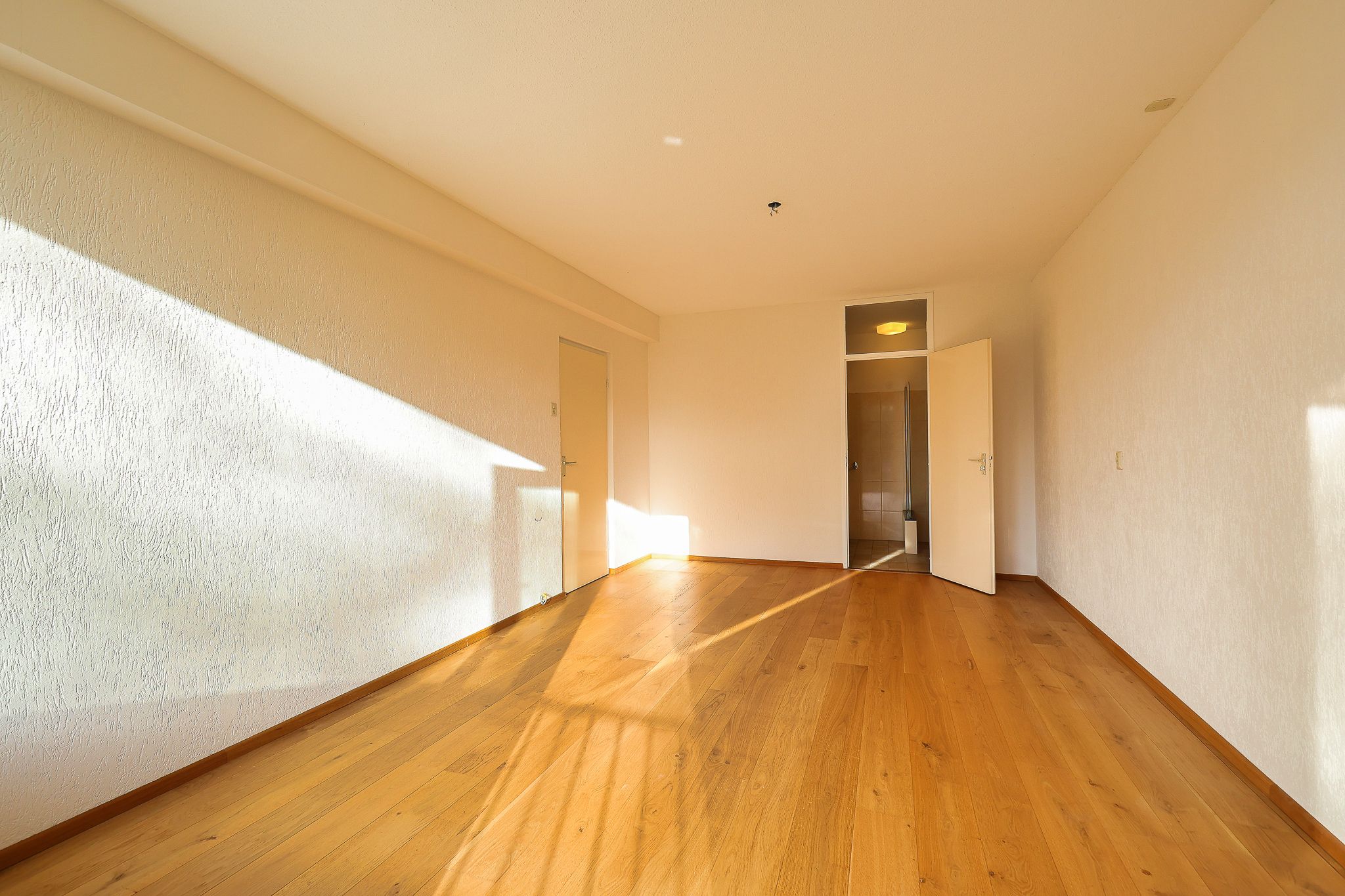 Foto 9 van De Rekere 43