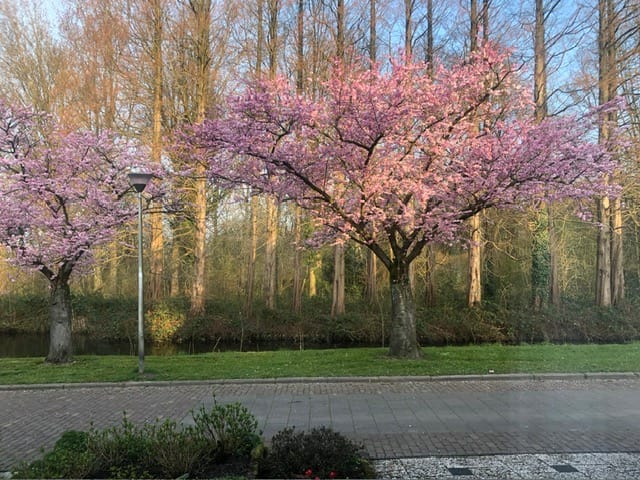 Foto 32 van Eikendreef 5