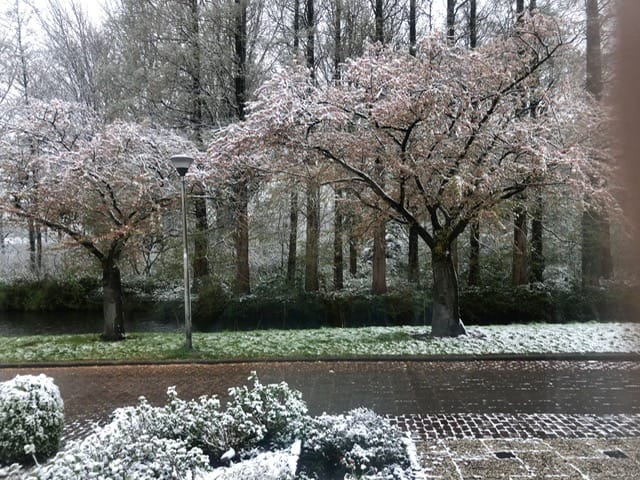 Foto 33 van Eikendreef 5