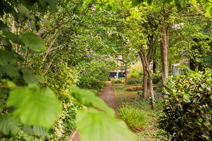 Foto 28 van Commelinstraat 452