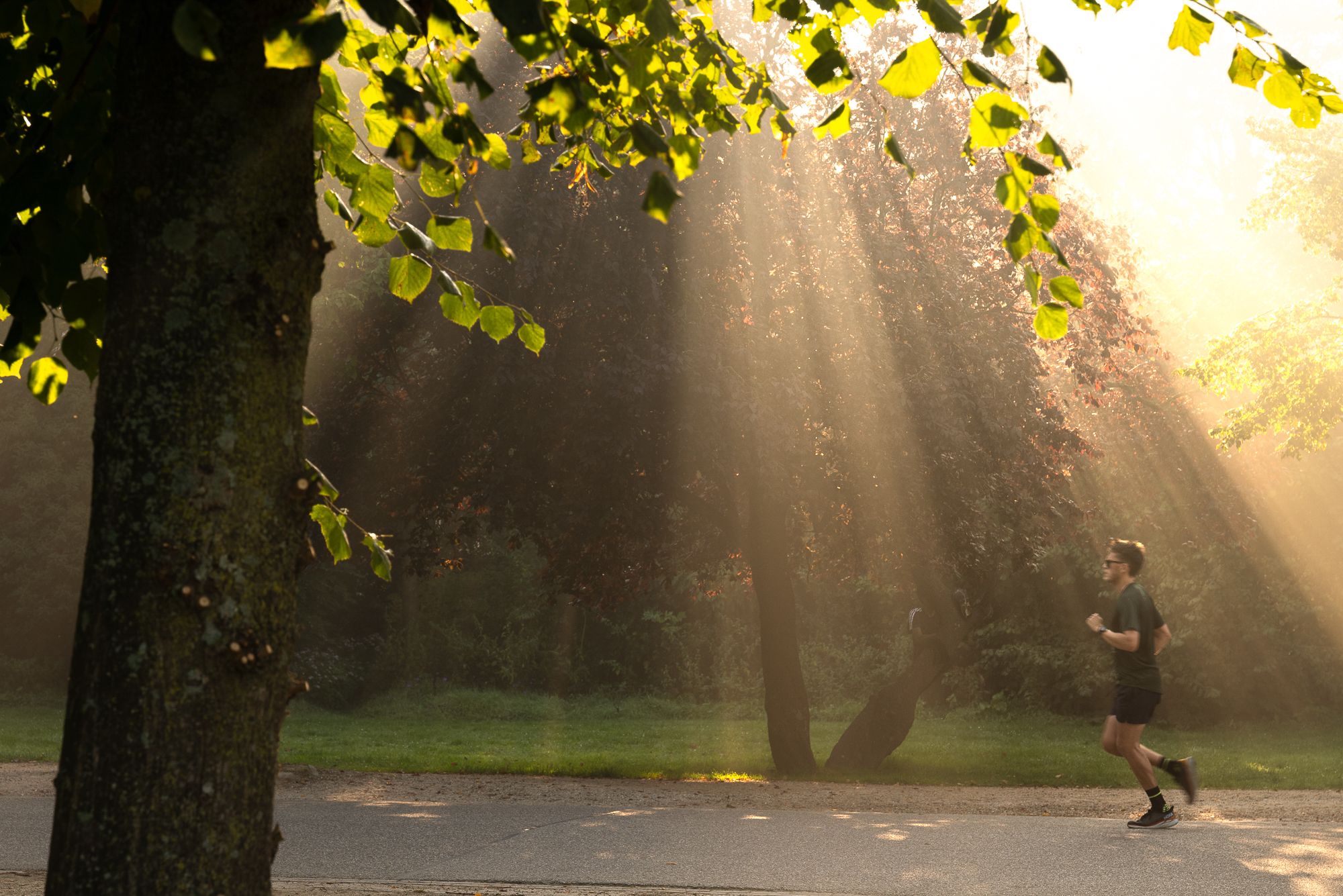 Foto 18 van Saxenburgerstraat 2-AHV