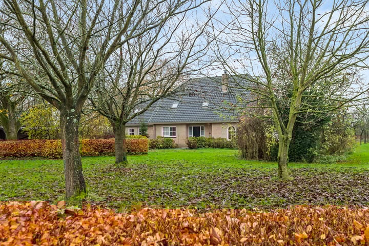 Nieuwe weg 2 main image