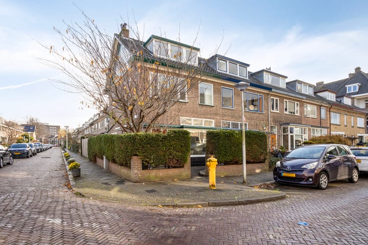 Foto 36 van Ternatestraat 10