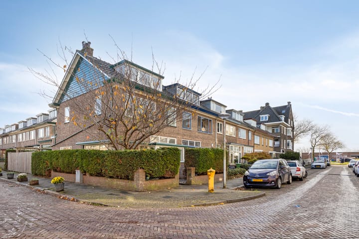 Foto 37 van Ternatestraat 10