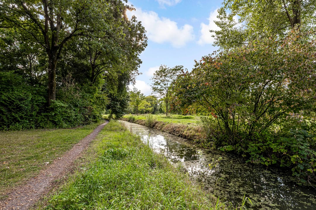 Foto 37 van Albert van Dalsumlaan 479