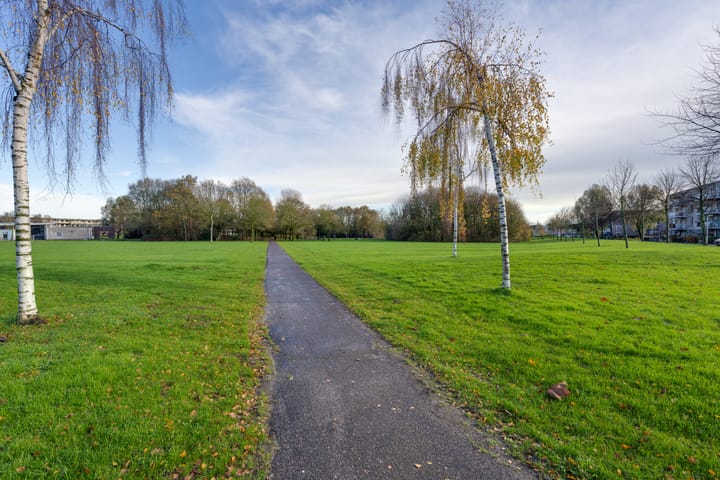Photo 54 of Jan Bijhouwerstraat 55