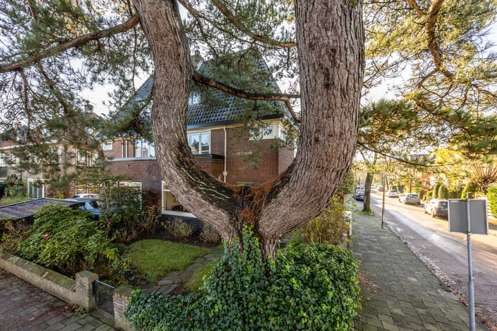 Foto 29 van Lanckhorstlaan 93