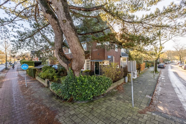 Foto 30 van Lanckhorstlaan 93