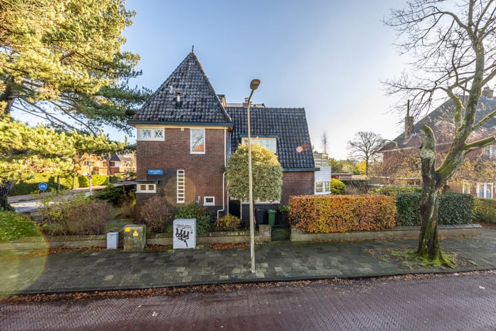 Foto 31 van Lanckhorstlaan 93