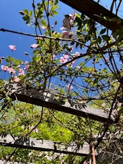 Photo 32 of Roerdomplaan 111