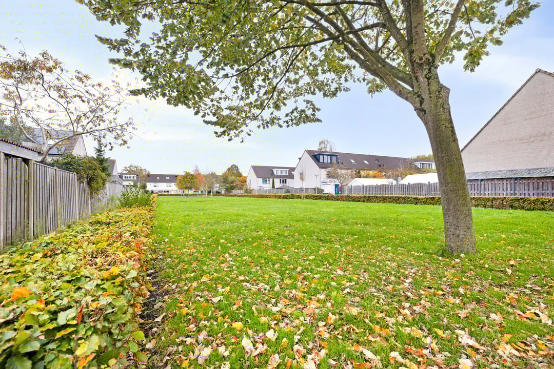 Foto 43 van L.C. van der Vlugtstraat 9