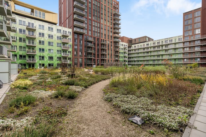 Photo 27 of Mangoweg 159