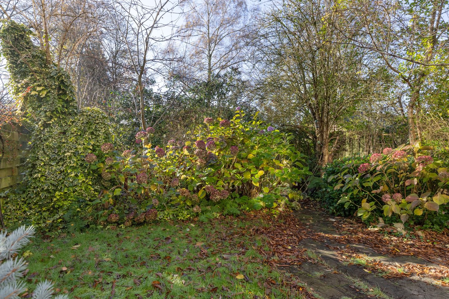 Foto 20 van Henrica van Erpweg 25