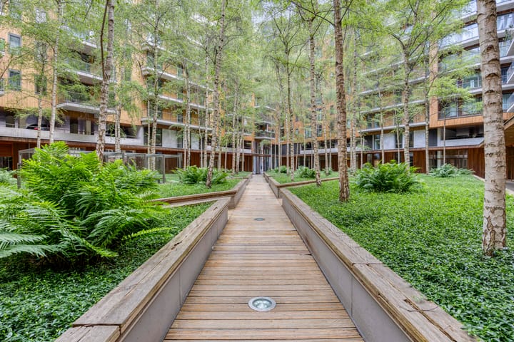 Foto 4 van Oppert 244