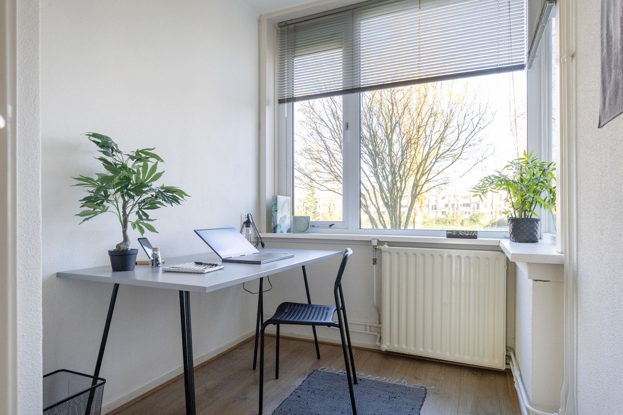 Foto 30 van Henrica van Erpweg 25