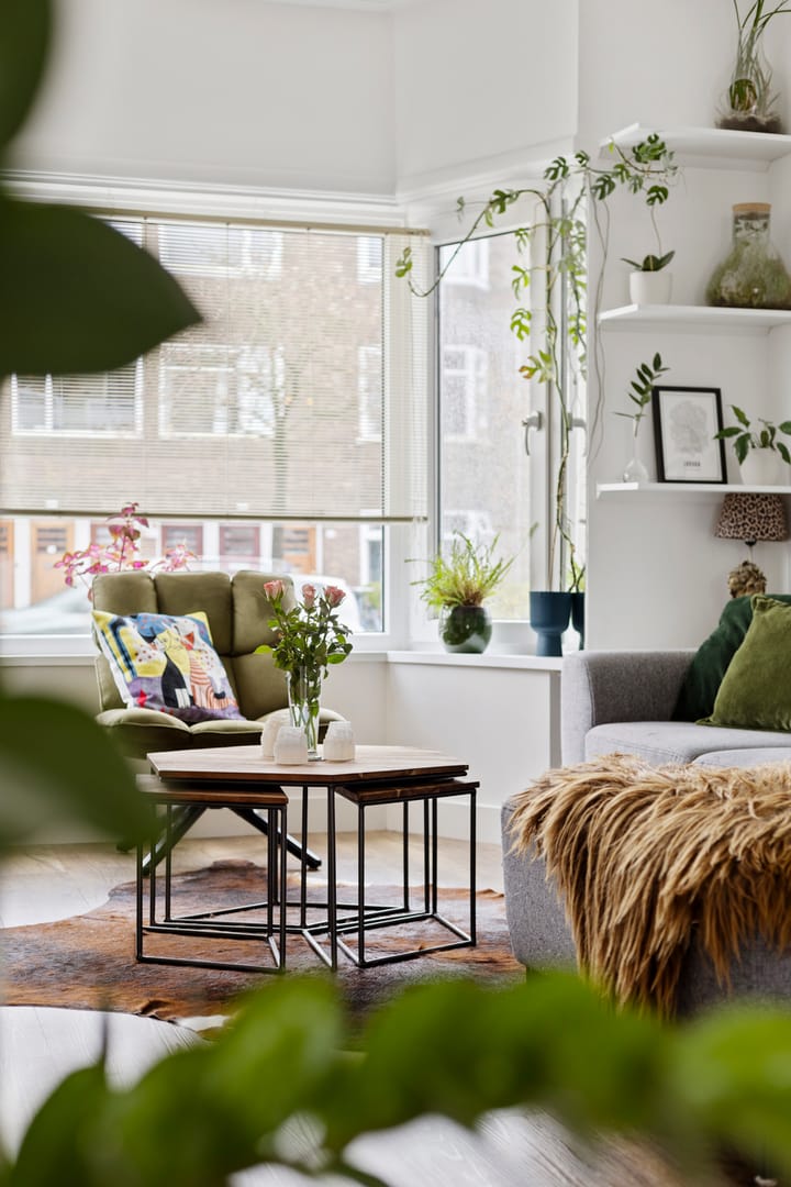 E. Thomassen à Thuessinklaan 50