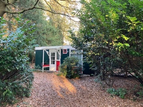 undefined main image