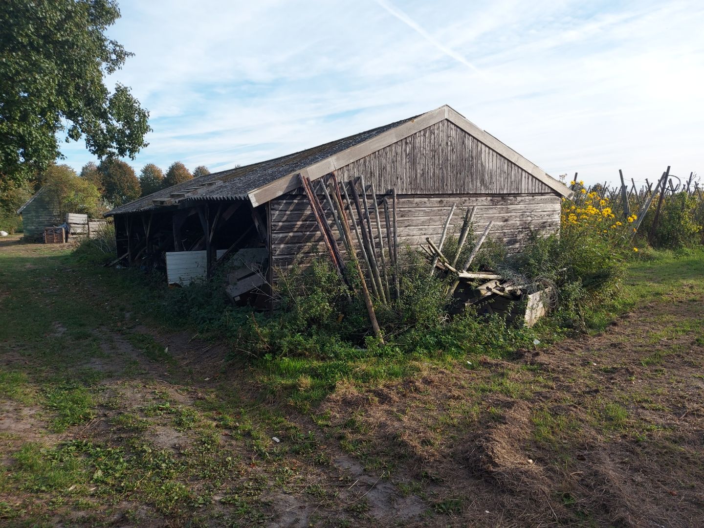 View photo 4 of Zanddijk 25