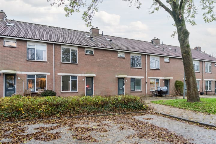 Foto 2 van Grutto 21