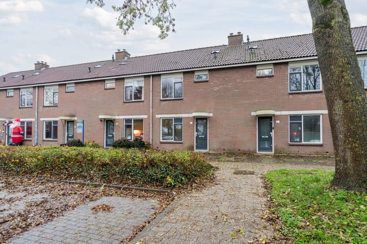 Foto 3 van Grutto 21