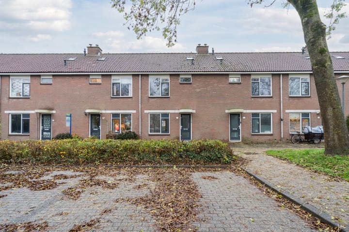 Foto 4 van Grutto 21