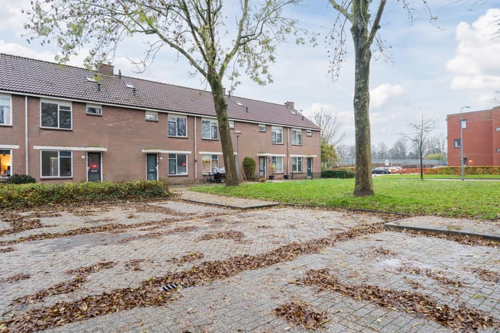 Foto 50 van Grutto 21