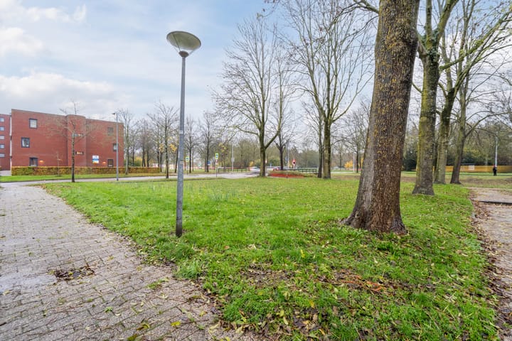 Foto 51 van Grutto 21