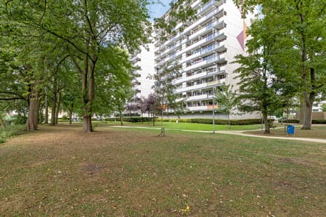 Akkerwinde thumbnail