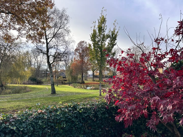 Photo 48 of Klaas Woltjerweg 54