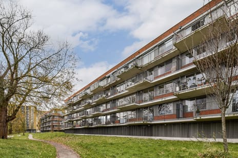 Johan de Wittstraat thumbnail