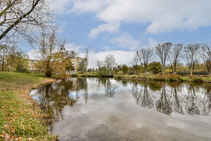 Foto 30 van Johan de Wittstraat 39